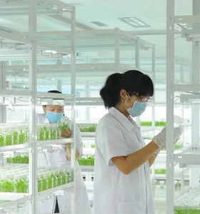 草莓视频在线免费儀器