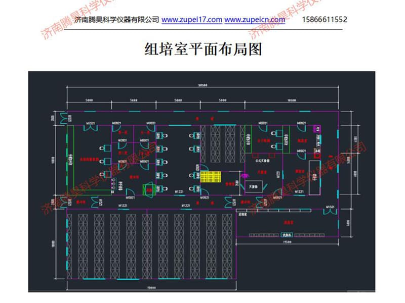 山東草莓视频在线免费室(培養室)建設設計