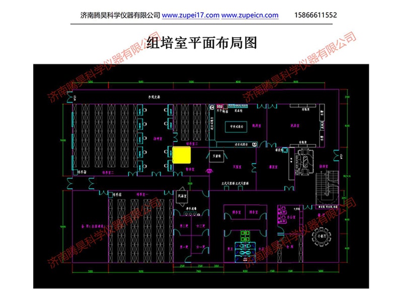 草莓视频在线免费室