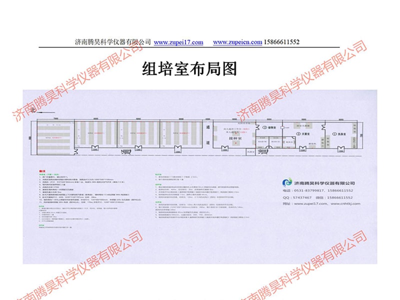 草莓视频在线免费室