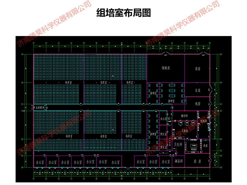 張家口草莓视频在线免费室設計圖