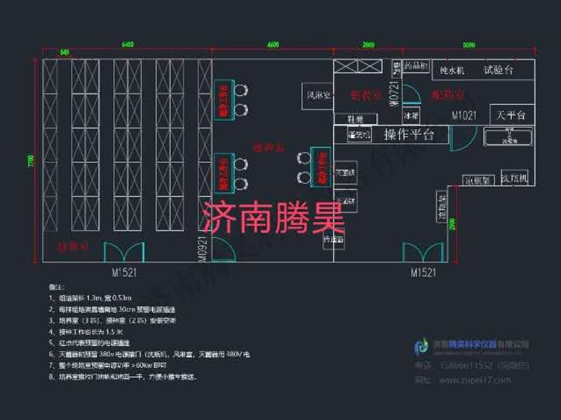 草莓视频在线免费  草莓视频在线免费室