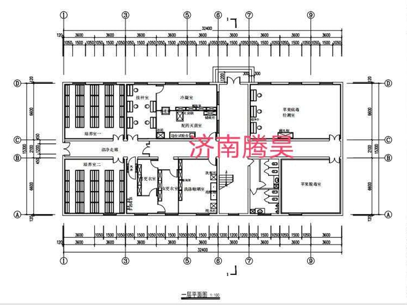 草莓视频在线免费  草莓视频在线免费室