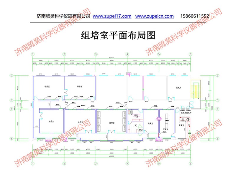 濟寧草莓视频在线免费室設計