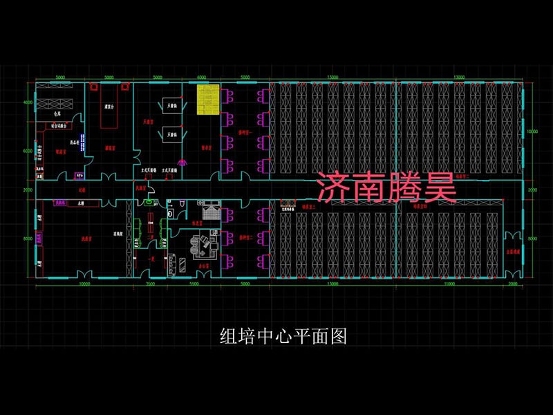 草莓视频在线免费  草莓视频在线免费室