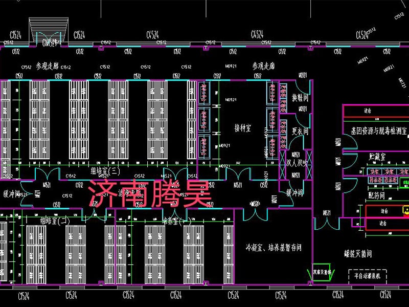 草莓视频在线免费  草莓视频在线免费室