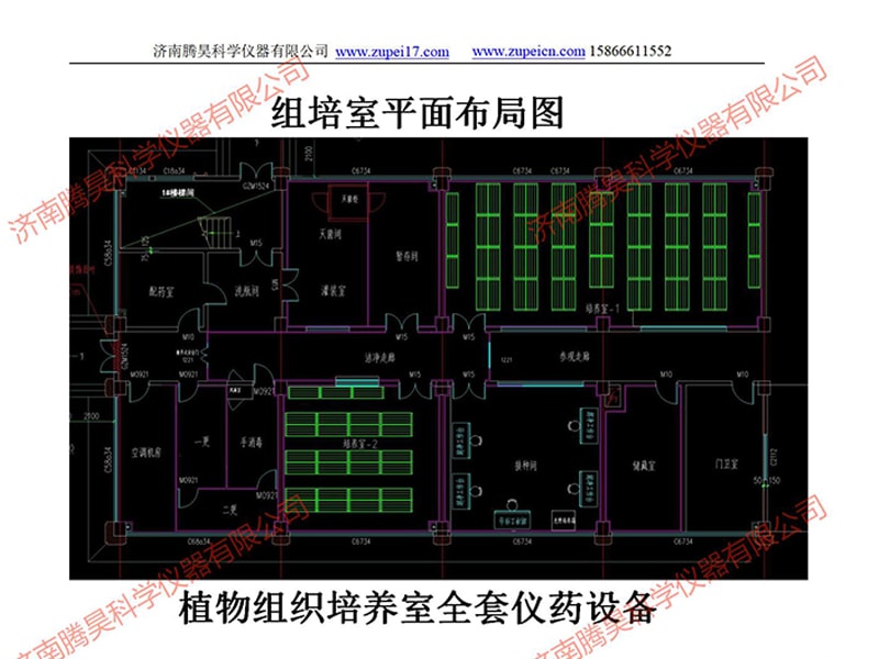 河北植物草莓视频在线免费室