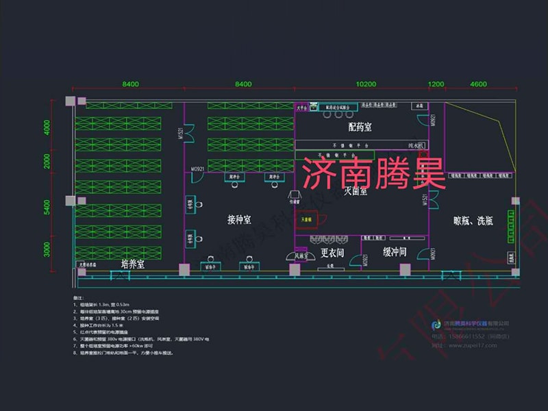 草莓视频在线免费  草莓视频在线免费室