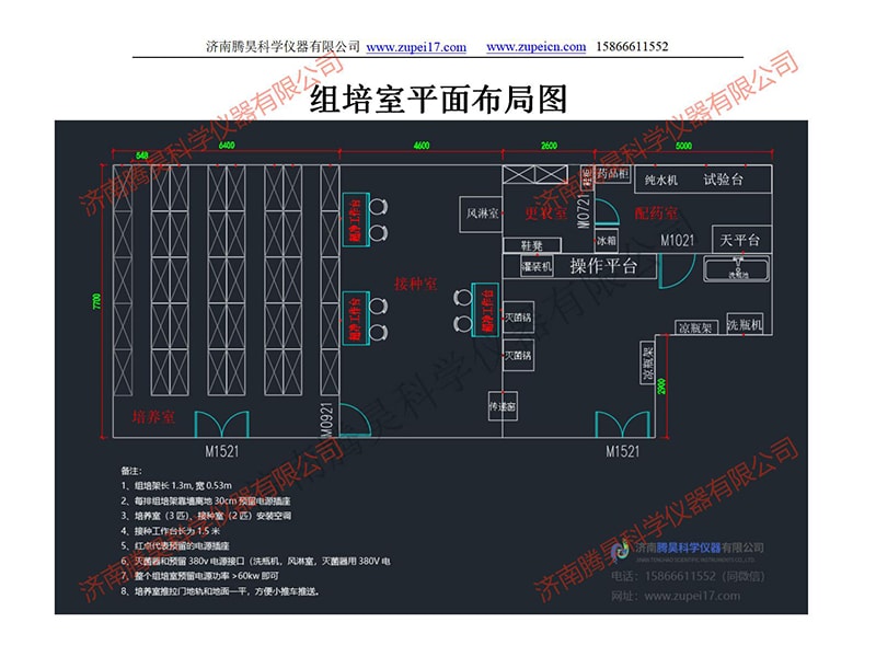 草莓视频在线免费室