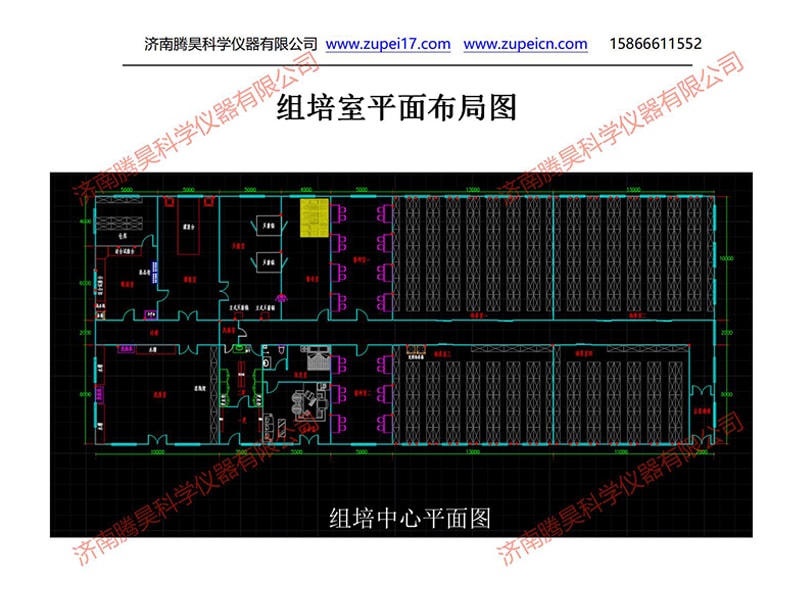 草莓视频在线免费  草莓视频在线免费室