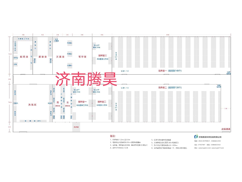 草莓视频在线免费  草莓视频在线免费室