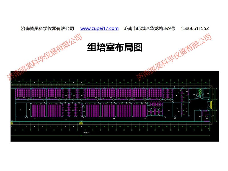 蘭州新區草莓视频在线免费室設計圖