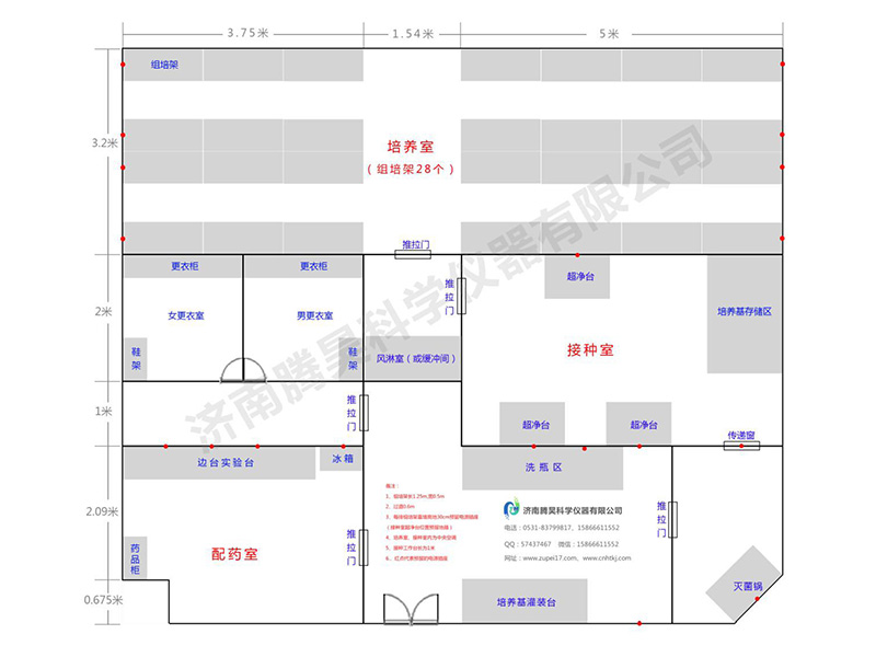 草莓视频在线免费  草莓视频在线免费室