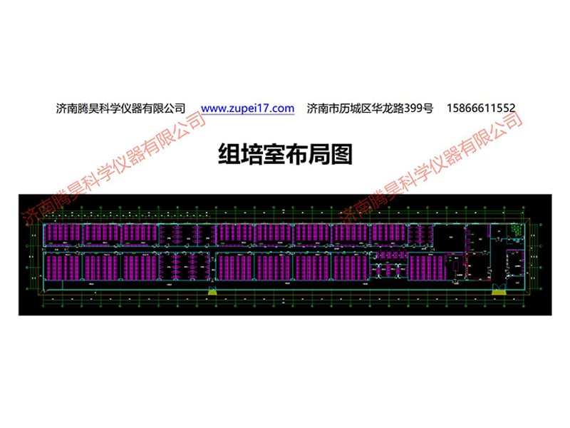 浙江植物草莓视频在线免费實驗