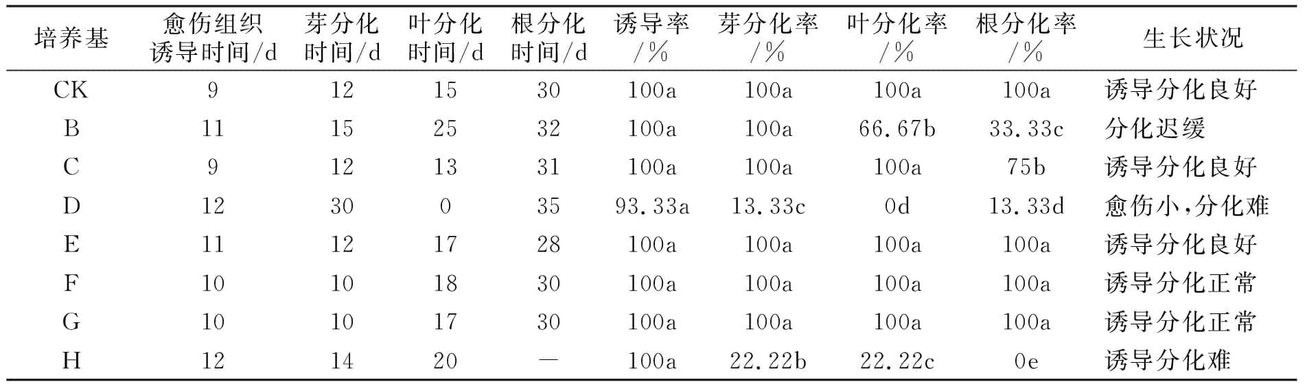 煙草草莓视频在线免费實驗的培養基簡化探究