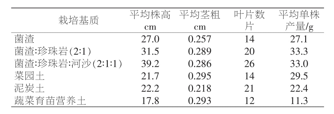 草莓视频在线免费室設計