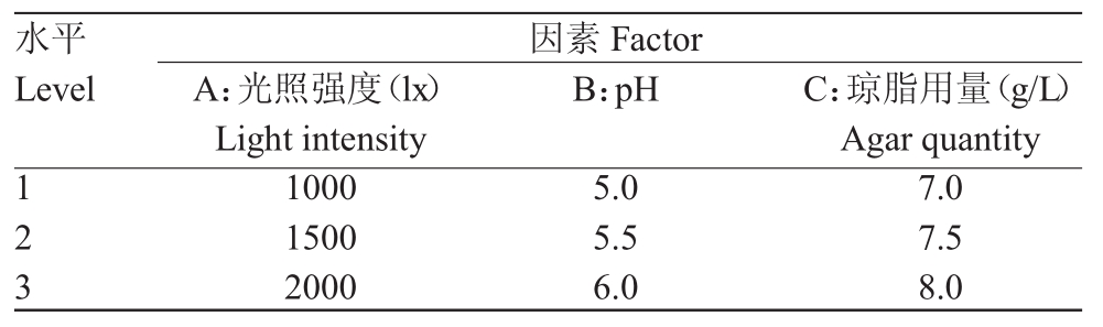 草莓视频在线免费室設計