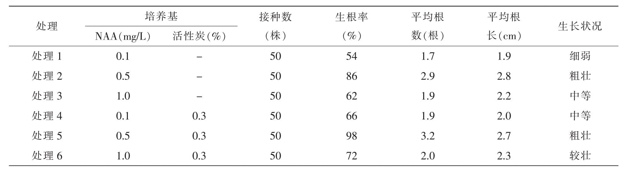 金線蓮草莓视频在线免费快繁技術研究