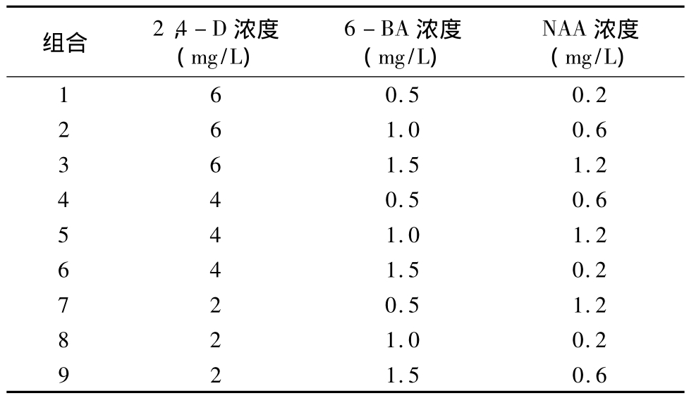 柳枝稷種子草莓视频在线免费快繁技術