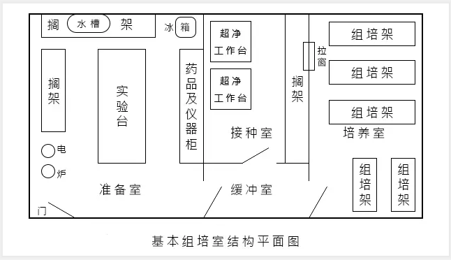 草莓视频在线免费室建設