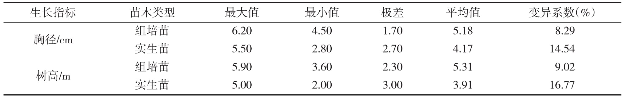 大花序桉草莓视频在线免费苗15個月齡幼林生長